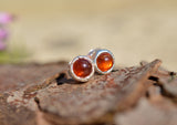Amber and Sterling Silver Stud Earrings