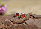 Amber and Sterling Silver Stud Earrings