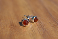 Amber and Sterling Silver Stud Earrings
