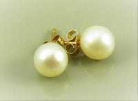 Round White Freshwater Pearls Stud Earrings on Gold